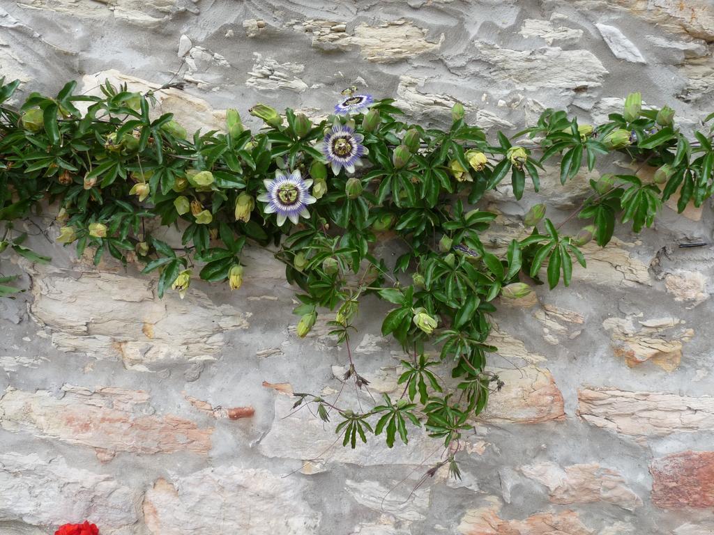 Posada El Pozo Castañedo Εξωτερικό φωτογραφία